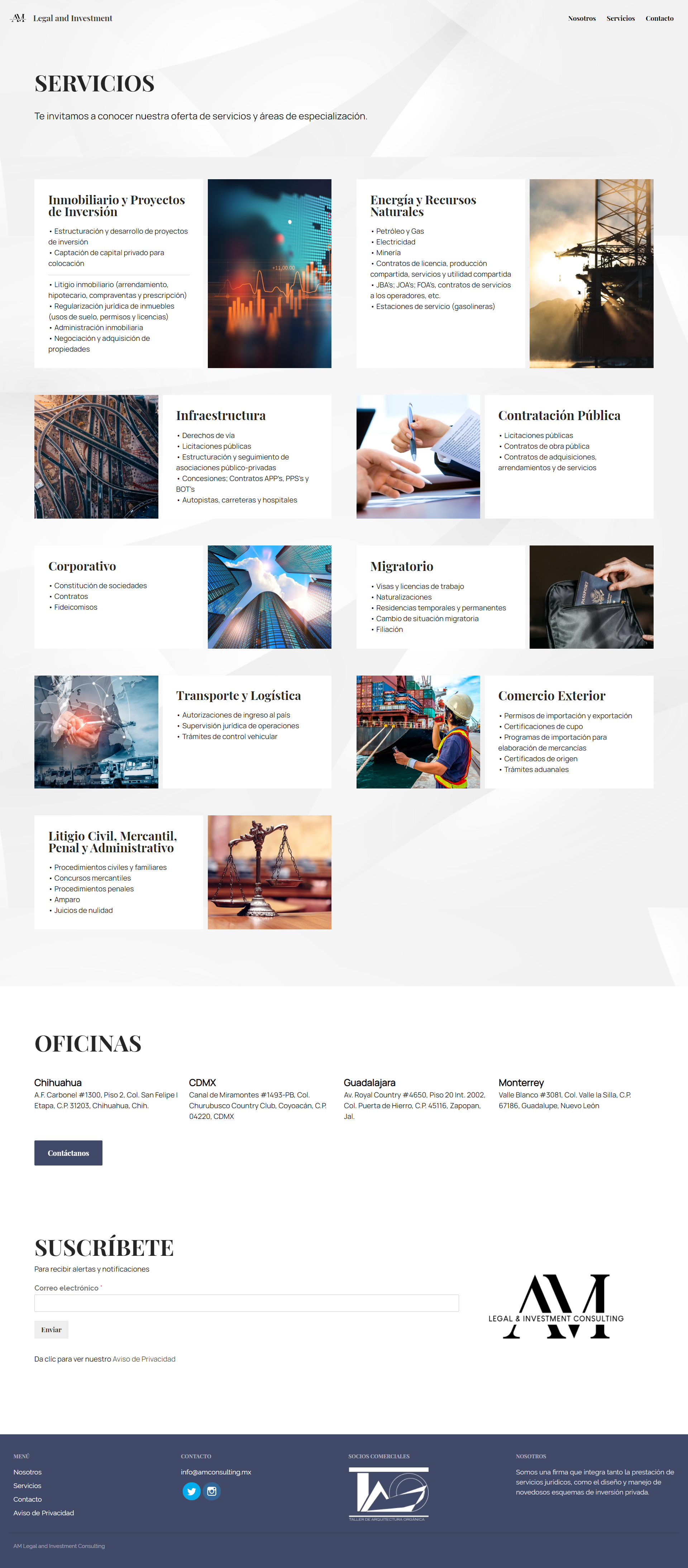 screencapture-amconsulting-mx-servicios-2020-06-11-18_27_00